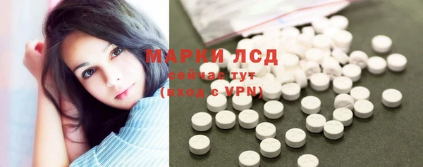ПСИЛОЦИБИНОВЫЕ ГРИБЫ Инта