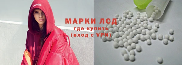 ПСИЛОЦИБИНОВЫЕ ГРИБЫ Инта