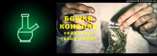 спайс Инсар