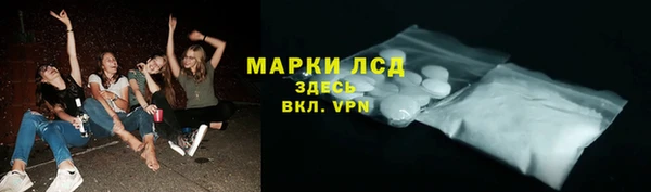 ПСИЛОЦИБИНОВЫЕ ГРИБЫ Инта