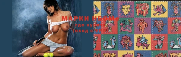 ПСИЛОЦИБИНОВЫЕ ГРИБЫ Инта